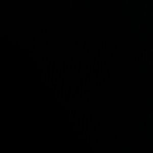 Meet your Posher, Omarian